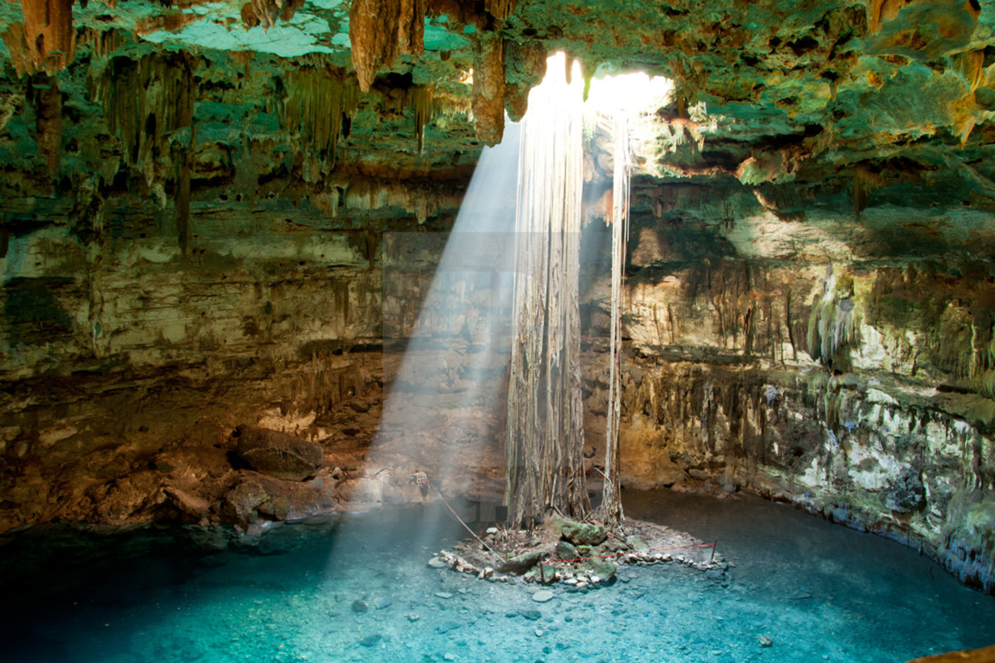 Private cenote experience in Yucatan