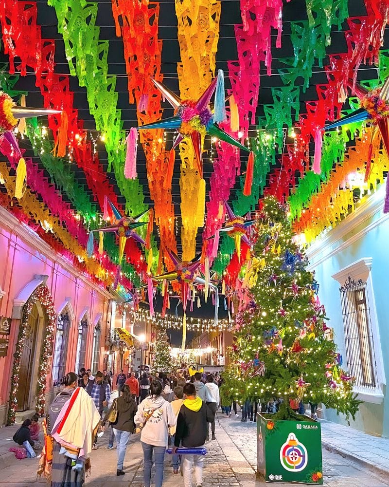 Family travel experience in Merida and Yucatan